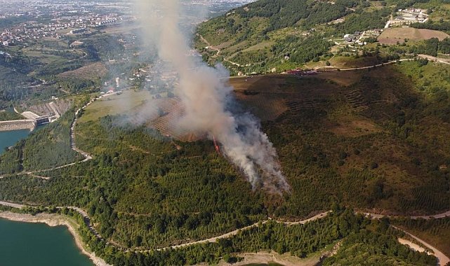Kocaeli'de ormanlık alanda yangın çıktı, söndürme çalışmaları devam ediyor