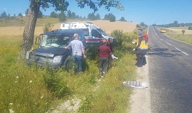 Kontrolden çıkan hafif ticari araç ağaca çarptı: 1 yaralı