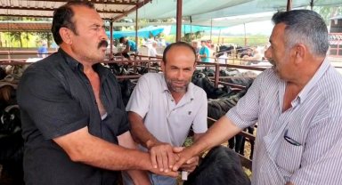 Kurban pazarında kıran kırana pazarlıklar