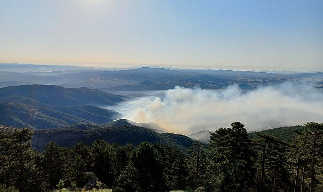 Kütahya'daki orman yangınına havadan ve karadan müdahale sürüyor