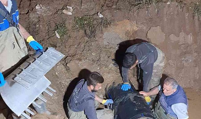 Mahalle sakinleri suya kavuştu