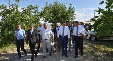Malatya'da kayısı hasadı sürüyor
