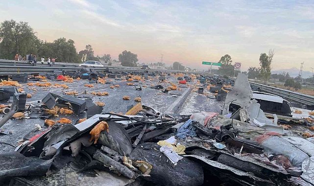 Meksika'da tır köprüye çarptı: 1 ölü