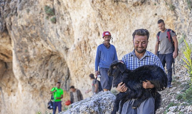 Mersin'de 15 metrelik obruğa düşen keçiyi itfaiye kurtardı