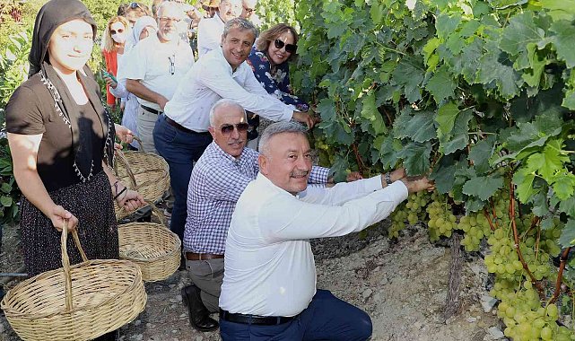 Mersin'de 'Üzüm Şenliği' coşkusu
