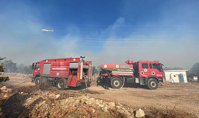 Milas'taki orman yangını kontrol altına alındı