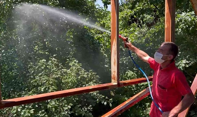 Ordu'da meyve dökülmelerine önlem