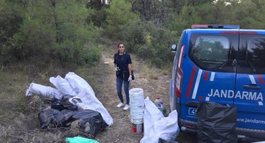Ormanlık alanda bin 150 kök kenevir bitkisi bulundu