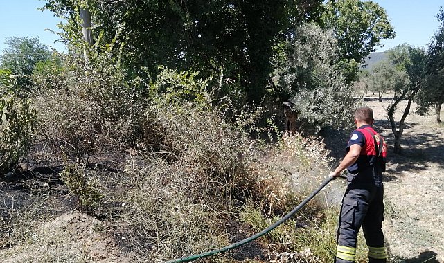 Otluk alanda çıkan yangın korkuttu