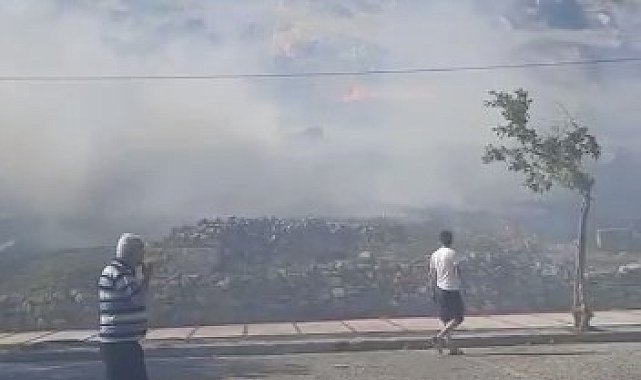 Pamukkale'de örtü yangını paniğe neden oldu