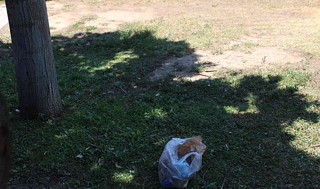 Parkta serinlediler, çöplerini geride bıraktılar