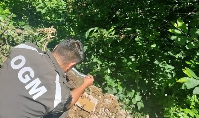 Sadece yangınlarla değil tüm zararlılarla mücadele ediyorlar