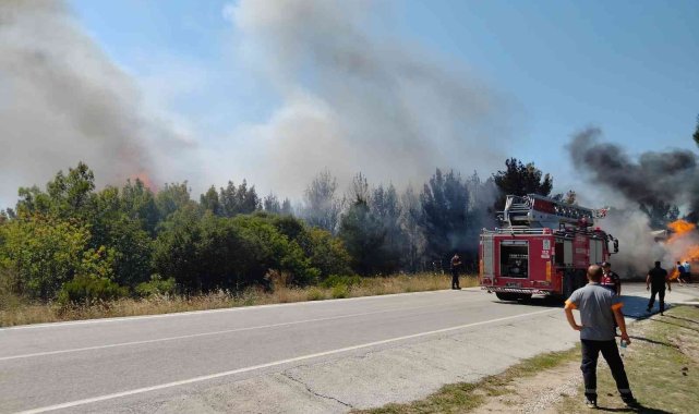 Saman yüklü tır alev aldı, yangın ormanlık alana sıçradı
