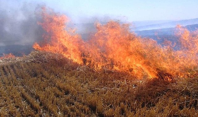 Sıcak hava Erzincan'da yangınları artırdı