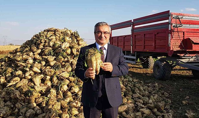 Sukkar, 530 bin ton pancar üretimi hedefliyor
