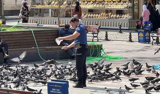 Sultanbeyli'de yürekleri ısıtan görüntü: Polis memuru, güvercinleri her gün ekmek kırıntıları ile besliyor