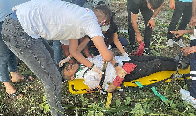 Takla atan otomobil mısır tarlasına uçtu: 1 yaralı