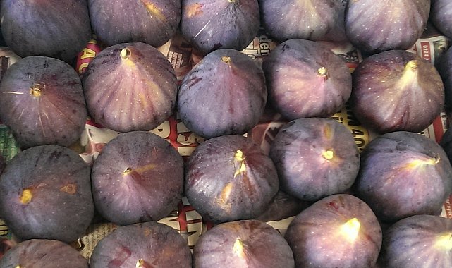 Taze incir ihracatında hedef 100 milyon dolar