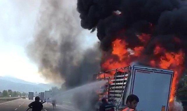 TEM'de tır alev alev yandı