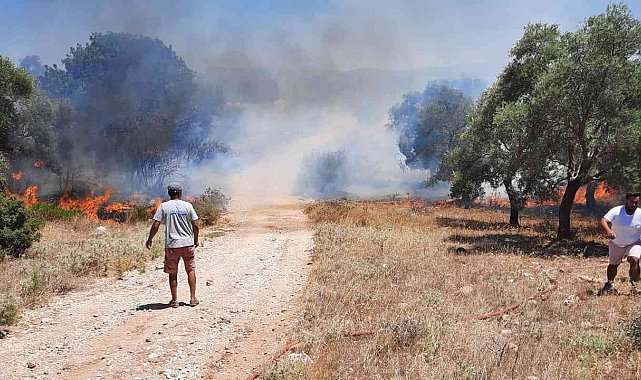 Temizlik ateşi kontrolden çıktı
