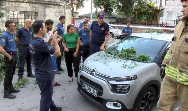 Üsküdar'da asırlık ağaç otomobilin üzerine devrildi
