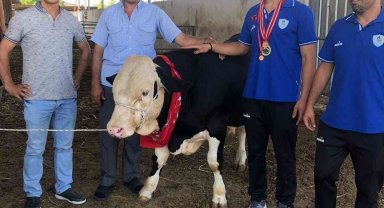 Verdiği sözü tuttu, şampiyona dana hediye etti