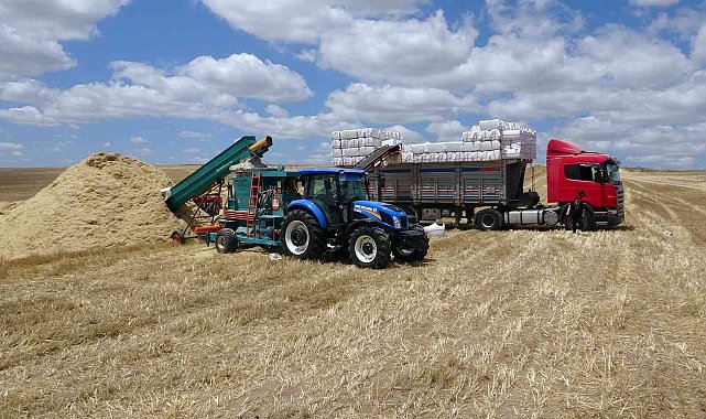 Yozgat'ta saman balyası mesaisi başladı