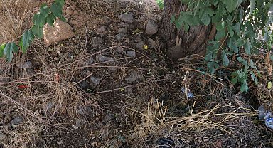 10 günlük bebeği ağaç altında adeta ölüme terk etmişler