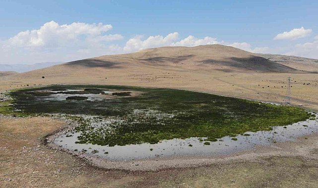 20 farklı göçmen kuş türüne ev sahipliği yapan Nenehatun gölü kurudu