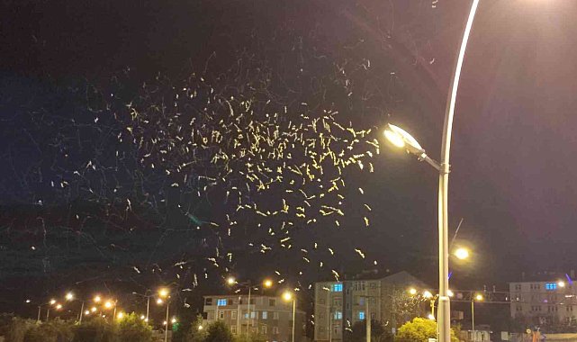 ''Birgün''lük ölüm dansı