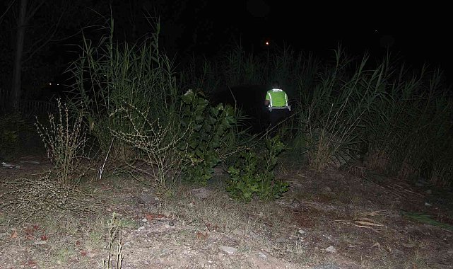 Adana'da otomobil otluk alana devrildi: 2 yaralı