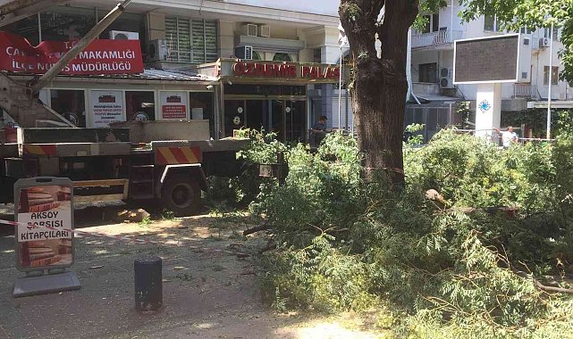 Ağaç dalının devrilme anı güvenlik kameralarına yansıdı
