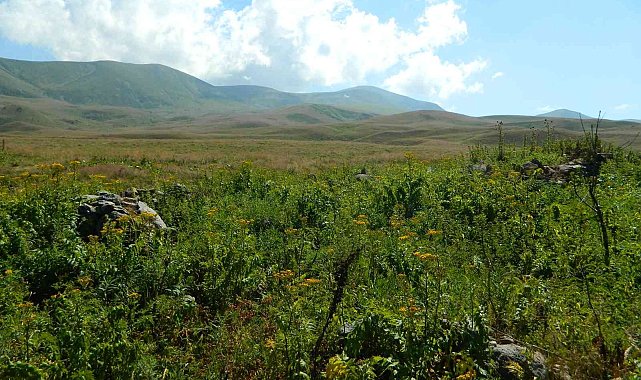 Ağustos sıcağı Posof yaylalarında kar bırakmadı