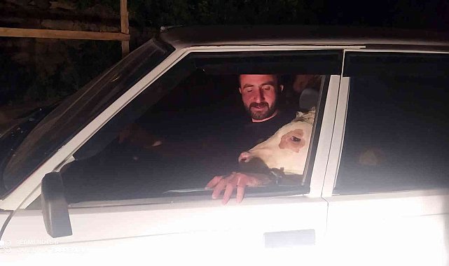 Akıllara dana Ferhat'ı getirdi, yıllar sonra Sivas'ta aynı kare