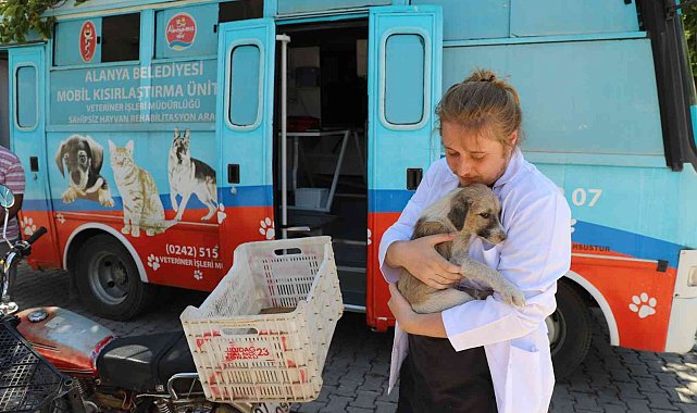 Alanya Belediyesi, kırsaldaki hayvanların bakım ve kontrollerini eksiksiz yapıyor