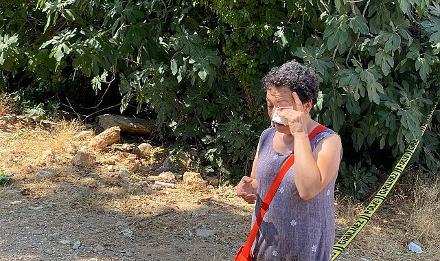 Antalya'da 20 köpeğin zehirlendiği ihbarı