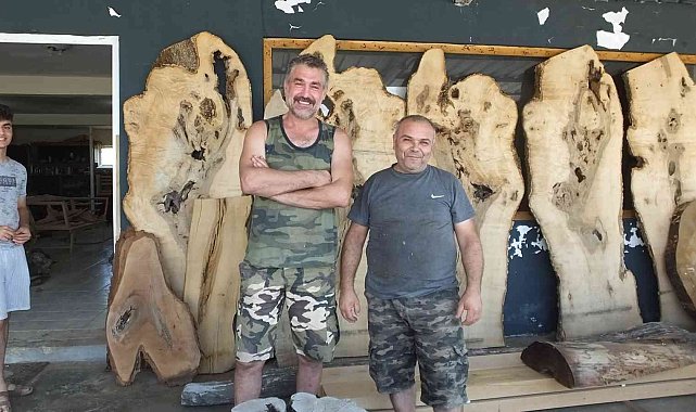 Balıkesir'de atık ağaçlar maharetli ellerde sanat eserine dönüşüyor