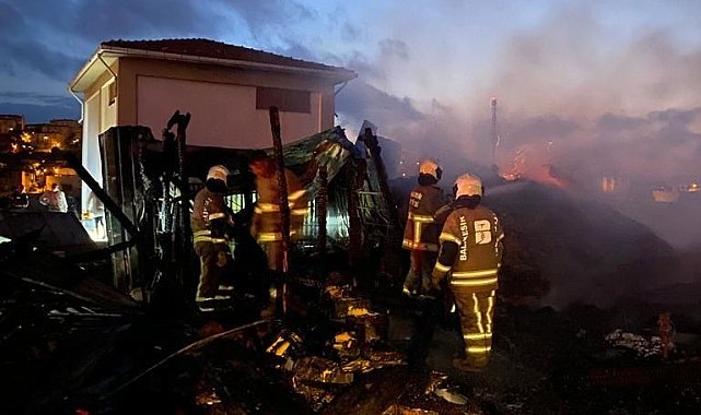 Bandırma'da ahırda çıkan yangında 4 hayvan telef oldu