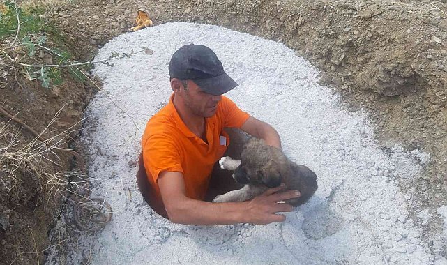 Beton çukura düşen 2 yavru köpek kurtarıldı