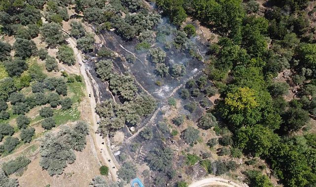 Bozdoğan'da zirai alandaki yangın söndürüldü