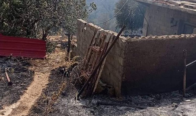 Cezayir'de 26 noktada orman yangını: 2 ölü, 42 yaralı