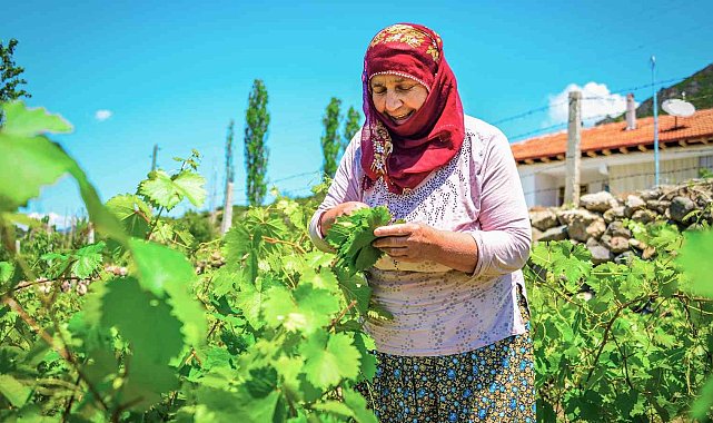 Coğrafi işaretli lezzet 400 milyon liralık girdi sağlayacak