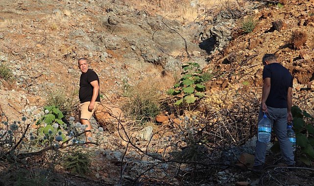 Diktikleri fidanları her gün kontrol edip suluyorlar