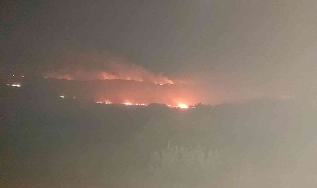 Diyarbakır'da üç noktada çıkan yangın yaklaşık 5 saat sonra kontrol altına alındı
