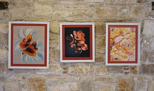 Doğadan Güzellikler isimli karma resim sergisi İbramaki Sanat Galerisi'nde açıldı