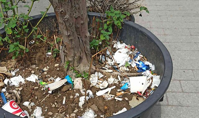 Duyarsız vatandaşlar bitki saksısını çöplük yaptı