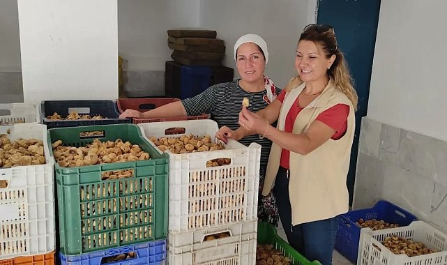 Efeler'de incir depoları denetimi başladı