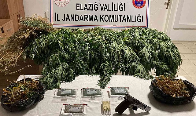 Elazığ'da 1 kilo esrar ve 17 kök kenevir ele geçirildi
