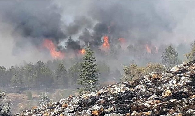 Elazığ'da orman yangınına müdahale sürüyor