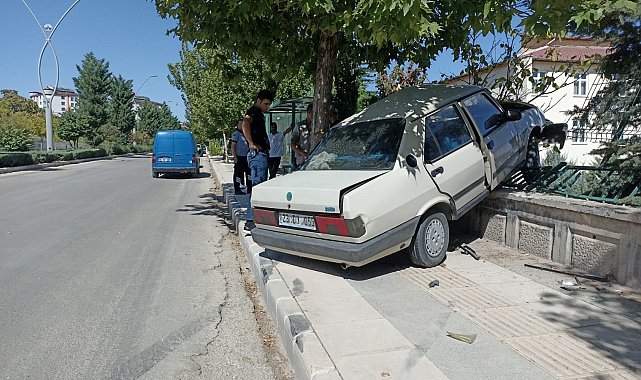 Elazığ'da otomobil duvara çarptı: 1 yaralı